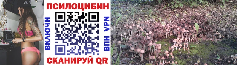Псилоцибиновые грибы прущие грибы  Опочка 