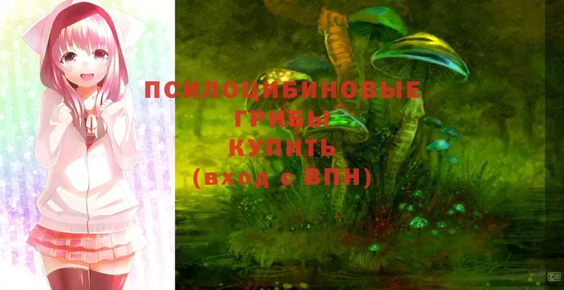 где можно купить наркотик  Опочка  Псилоцибиновые грибы Psilocybine cubensis 